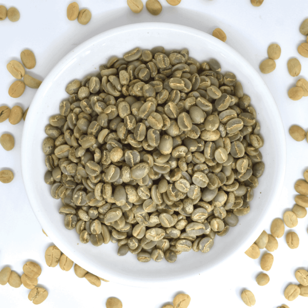 84-84.9 SCA Washed Green Coffee 84-84.9 SCA Washed Green Coffee