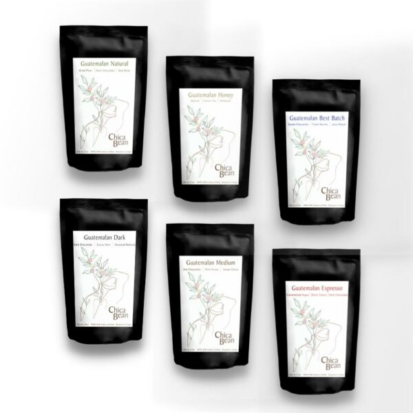 Sampler Pack Sampler Pack