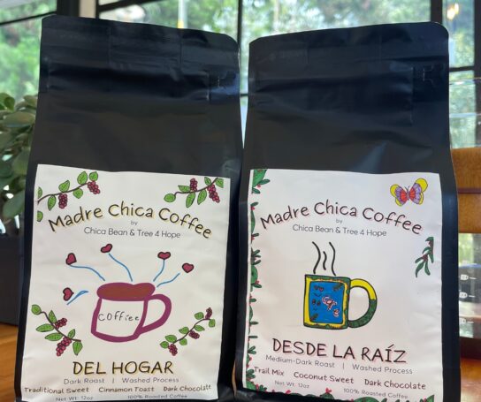 Madre Chica Coffee – Education for Guatemalan Girls through Coffee!
