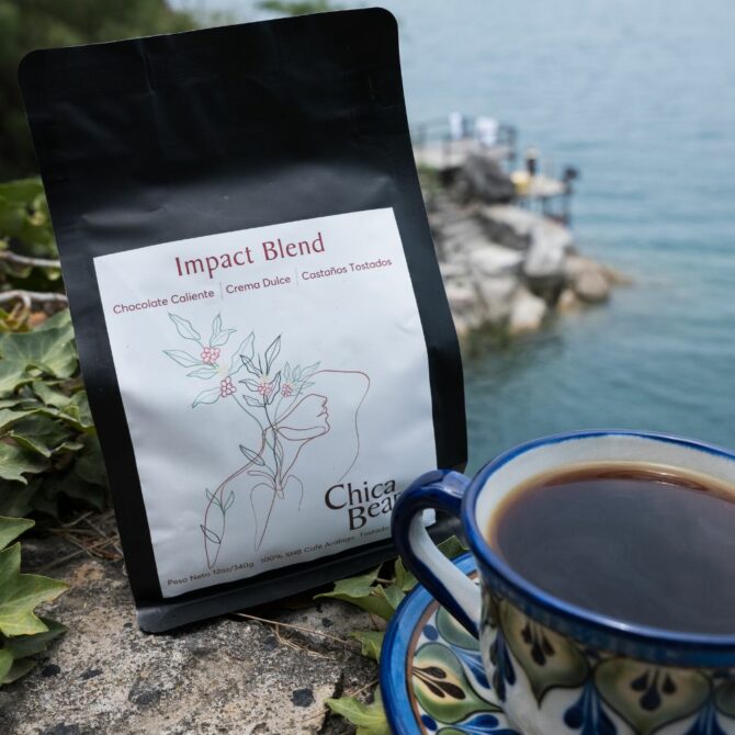 A bag of coffee called "Impact Blend" and a cup of brewed coffee photographed in from of a lake