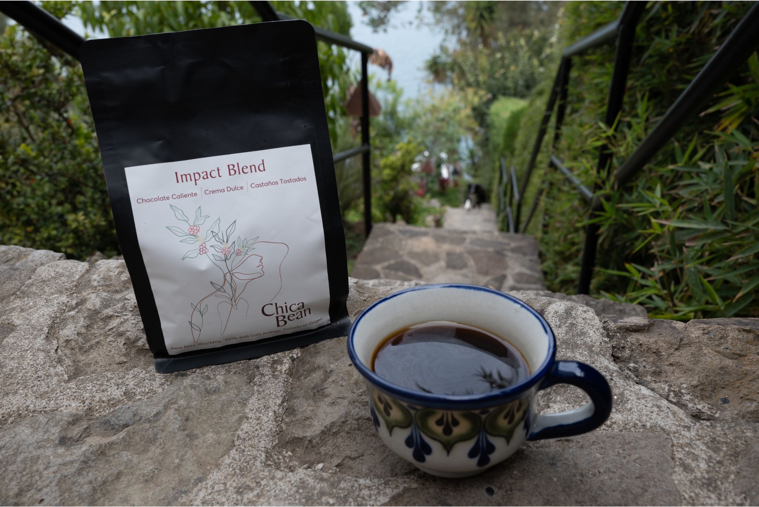 A picture of a bag of coffee called Impact Blend and a beautiful cup of coffee on a stone stairway in a lush green garden