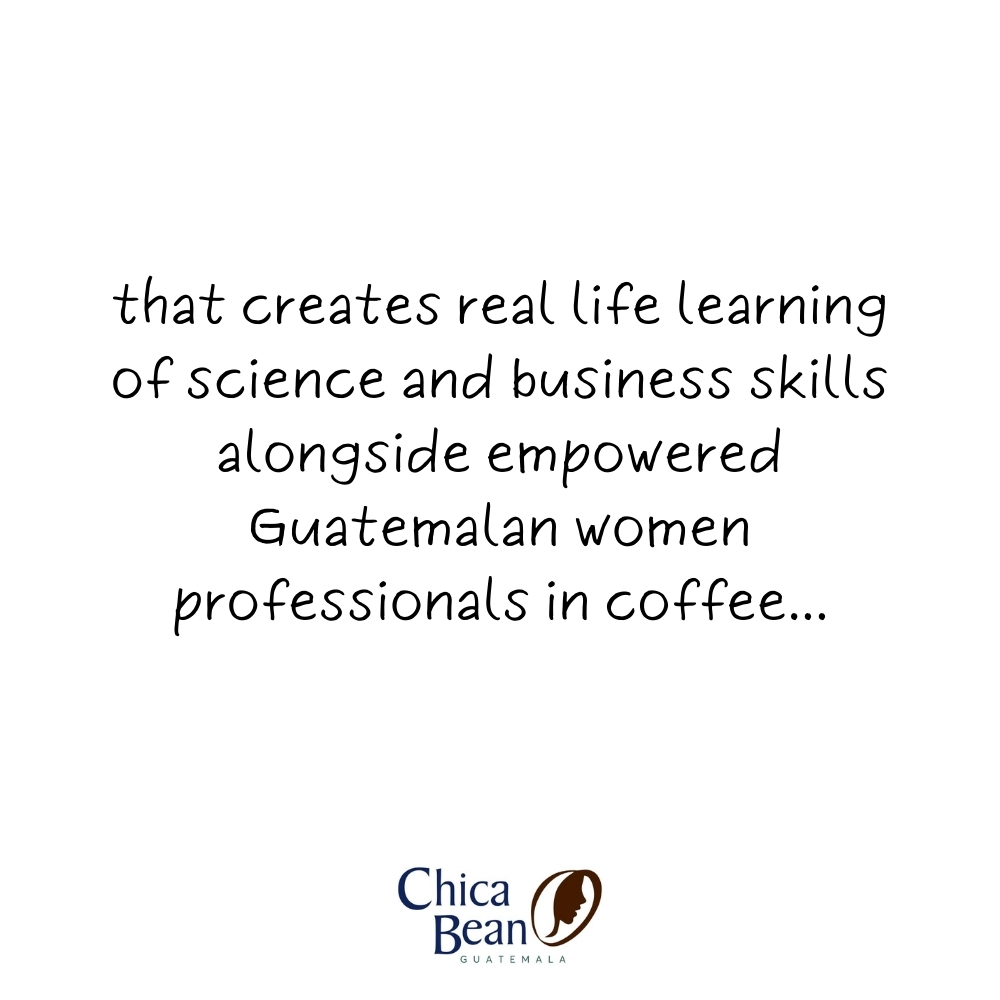 Creciendo Juntas Coffee - Education for Guatemalan Girls through Coffee! - Image 4