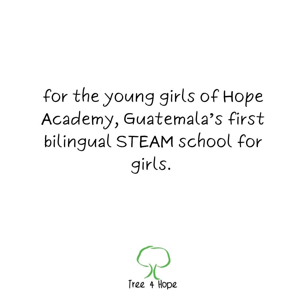 Creciendo Juntas Coffee - Education for Guatemalan Girls through Coffee! - Image 5